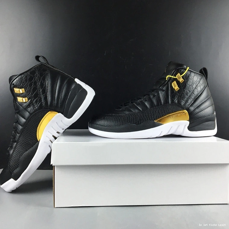 Air  Jordan  Wings AO6068-007 WMNS 12 0407